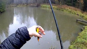 Спининг NORSTREAM Rebel 732MH 10-28г.Твичинг упористых воблеров. Закрытие рыболовного сезона 2017г.