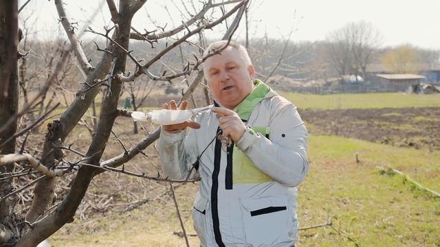 2 верных способа перепрививки