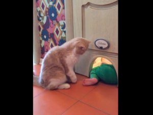 Ты не пройдешь!