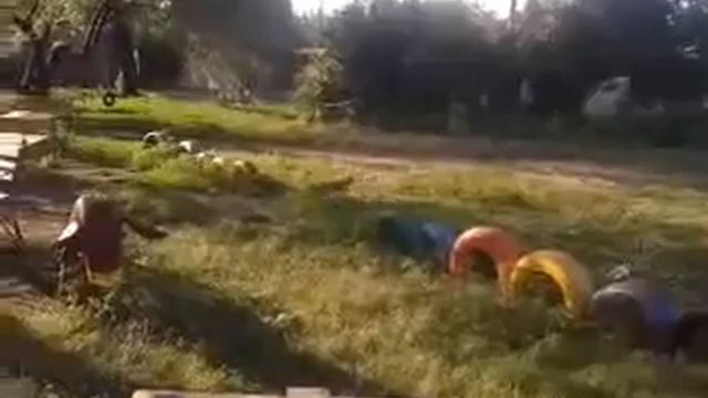 Crazy VLOG с гулек))|Усыновили/удочерили СОБАКУ?WTF?|Собака-улыбака|Марина Крейзи смотреть онлайн