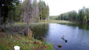 Со спинингом по прудам 2019 Большая Соснова
