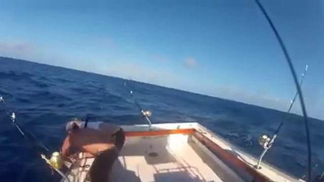 Marlin Hawaii Dec 2011 смотреть онлайн