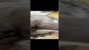 разбудили в выходной пришлось похулиганить