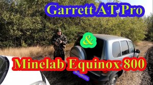 Minelab Equinox 800 и Garrett AT Pro на распашке