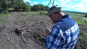 Как быстро очистить участок от деревьев и пней