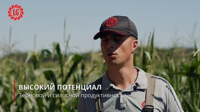 Технологические особенности выращивания гибридов кукурузы компании "Лимагрен"