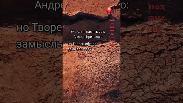 Отрезвляющие слова...