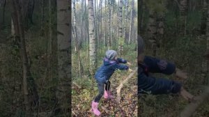 какие грибы можно брать