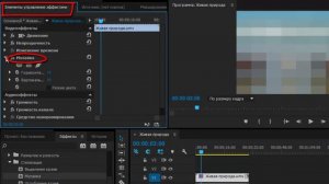 Как сделать пикселизацию видео (Adobe Premiere Pro CC)