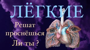 ВСЕ что вы хотели бы знать о ЛЕГКИХ и их заболеваниях !??