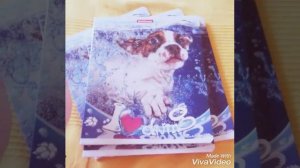 Скоро в школу!!! Мои покупки к 5 классу.