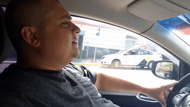 Едем из Города в Огород, везем рассаду овощей, планируем работы на участке