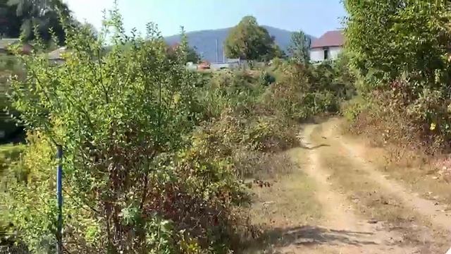 Участок 50 сот. в Сочи-1 часть