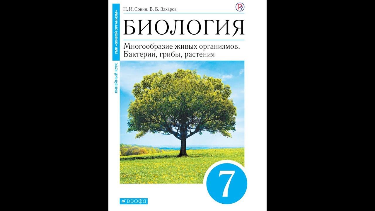 Биология 7к СТР-43 Группа Лишайники