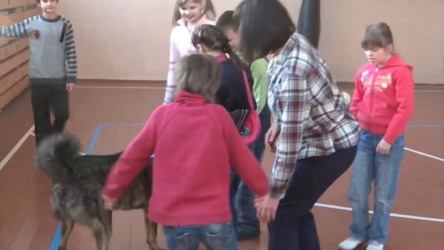 Доктор с нашего двора (режиссерская версия))) смотреть онлайн