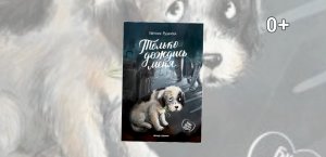 Буктрейлер по книге Евгении Русиновой "Только дождись меня"