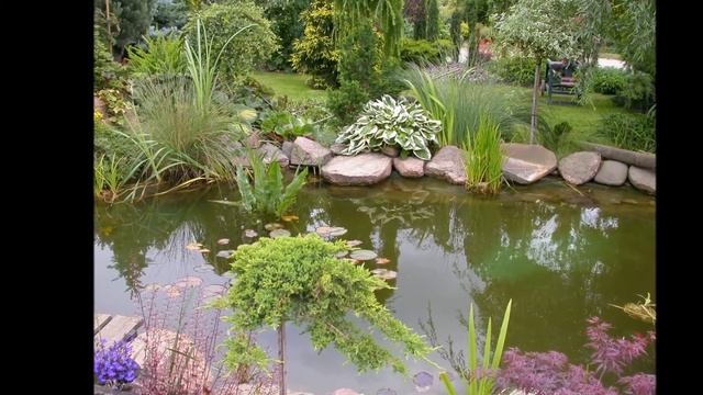 Садовый центр "ГринПаркМастер" garden center смотреть онлайн