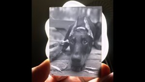 Изготовление литофанов с помощью фотополимерного 3D принтера - легко!