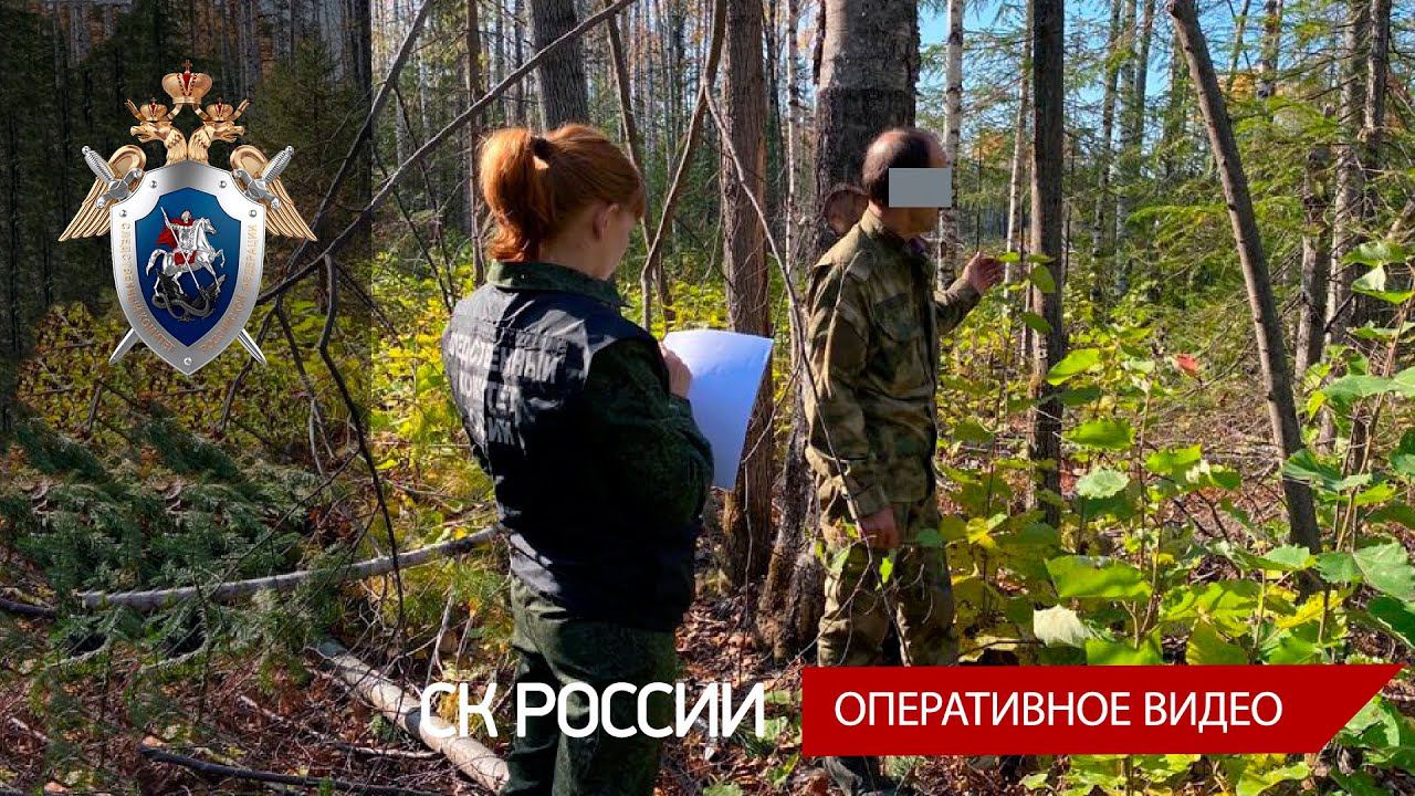 В отношении лесничего возбуждено уголовное дело по факту злоупотребления должностными полномочиями