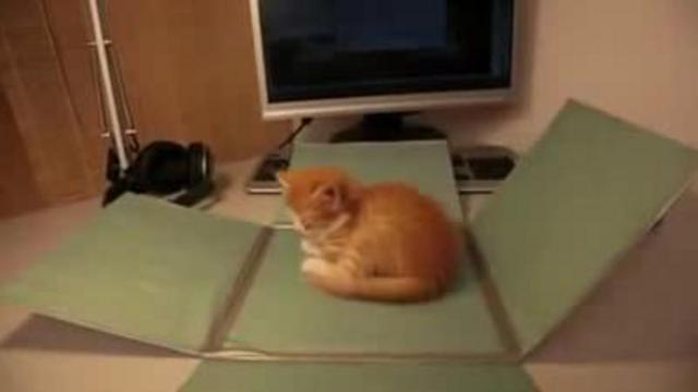 Новогодний прикол - Антивирусный кот смотреть онлайн