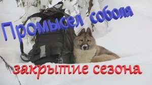 Закрываю путик КА-2У Нахаживаю щенка Несколько слов о воспитании и натаске щенка Есть трофей