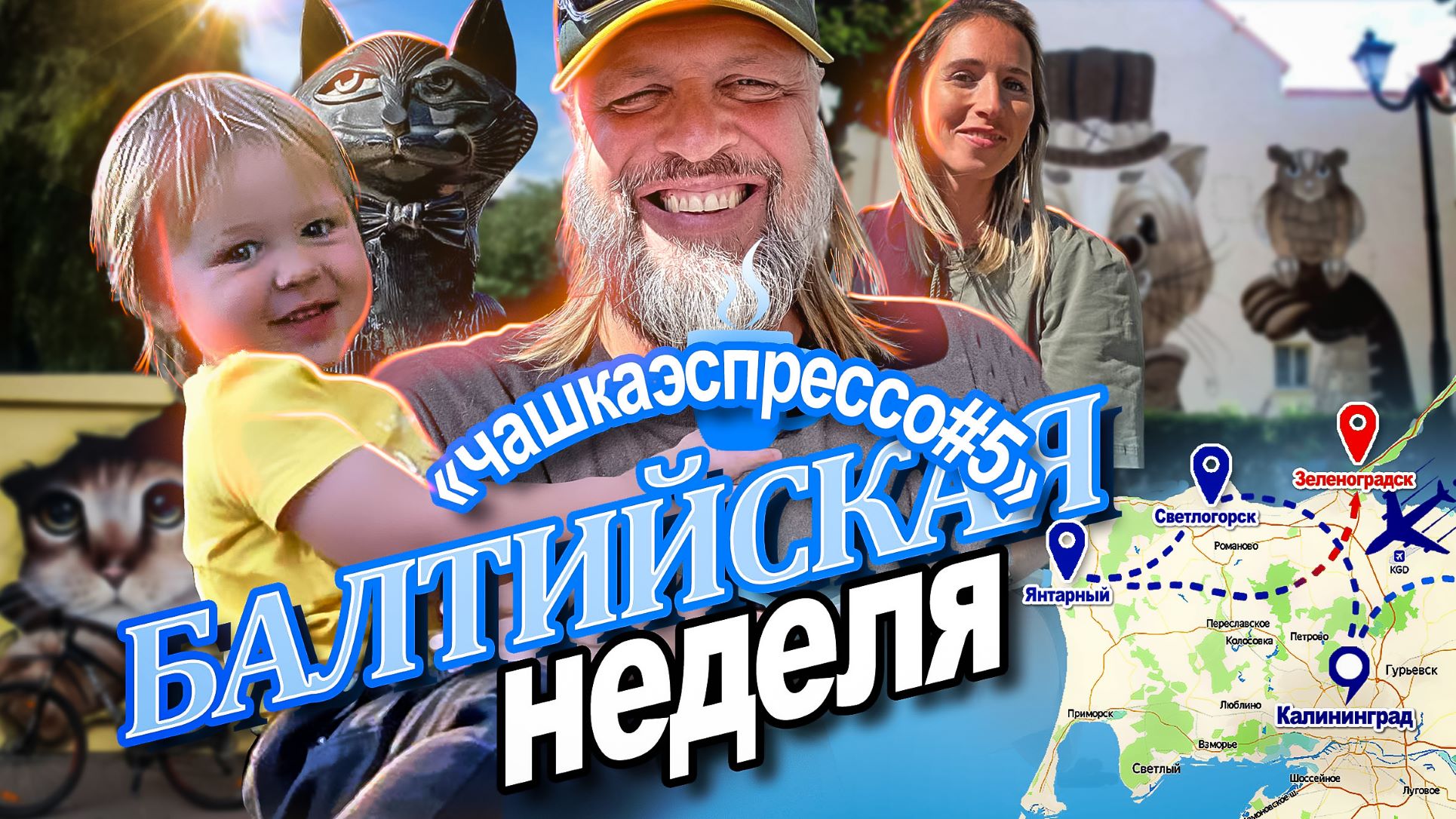Зеленоградск - город котов. ОСТОРОЖНО ЕДА и шикарное настроение