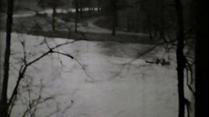 Царицыно, 1966 г