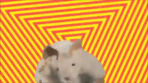 Гаффи Гаф - Зачем нужно учиться