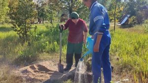 Посадка дубов в северной части парка