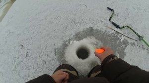 Ловля спортивного окуня на мормышку