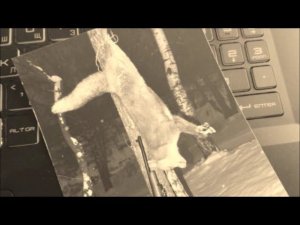 ОХОТИЛСЯ ЗДЕСЬ 25 ЛЕТ НАЗАД