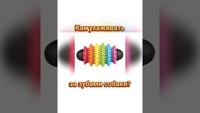 ??? Как ухаживать за зубами собаки?