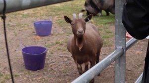 Lamont Farm - Renfrewshire Doors Open Days 2021