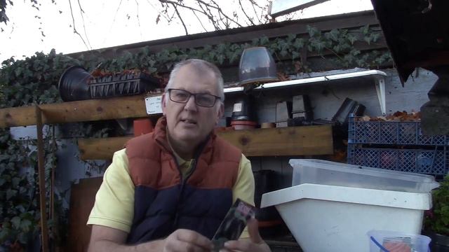 What to sow and grow in January