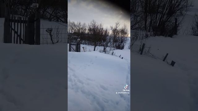 зима