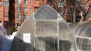 Как выбрать теплицу: капелька или арка