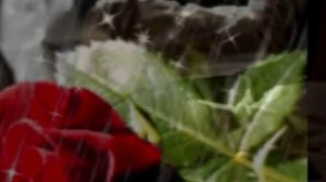 Looking For The Summer - Chris Rea ♥¸¸.•*¨*•♫♪•