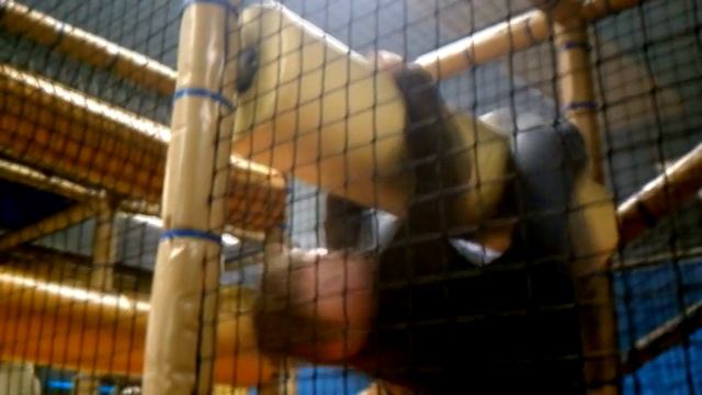 Tyler Tornado Web Show Intro смотреть онлайн