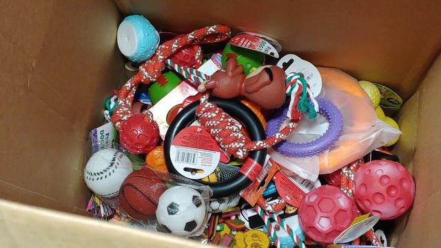 Традиционная акция «В зоопарке ждут подарки» проходит с 19 по 21 января в Московском зоопарке смотреть онлайн