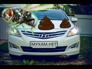 ОТМЫВКА ПЯТЕН ОТ МУХ.