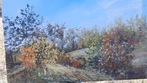 Осенние пленэры. Отдых в заповеднике. Пленэрная живопись ZhNataly