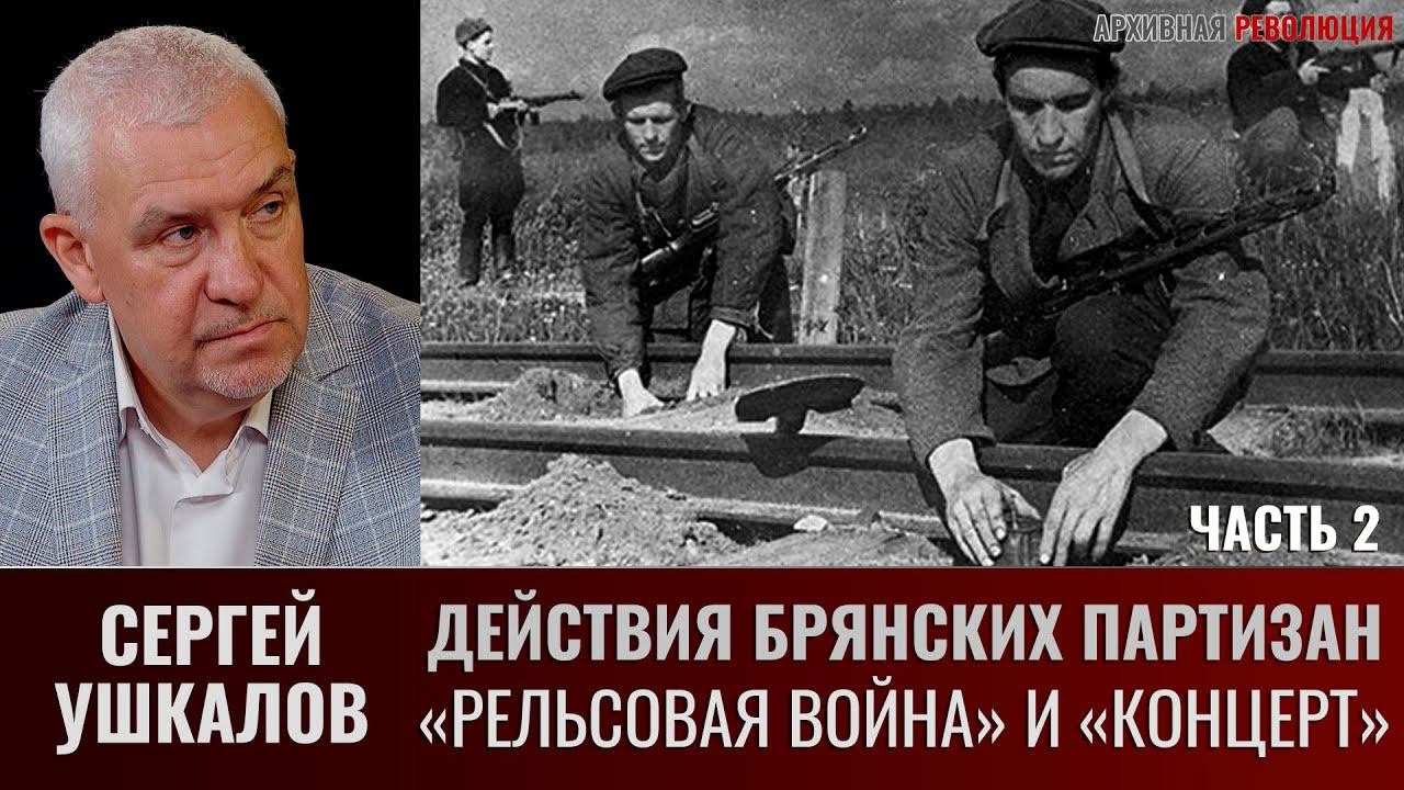 Сергей Ушкалов. Действия брянских партизан в ходе операций "Рельсовая война" и "Концерт". Часть 2