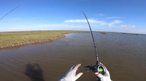 Sight Fishing Redfish in Matagorda Texas