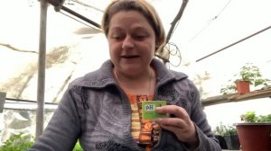 Как избавится от белокрылки навсегда. Секрет о котором все молчат