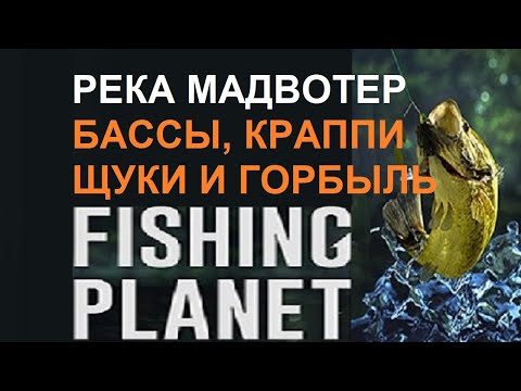 Река Мадвотер - щуки, бассы, краппи и горбыль в игре Fishing Planet