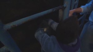 Башкиры.Культура, традиции, обычаи .