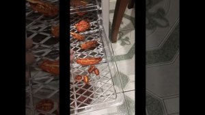 Вяленые помидоры с чесноком, базиликом и оливковым маслом. Электросушилка Kitfort KT-1909.