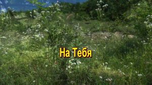 Наша надежда Ты, Христос