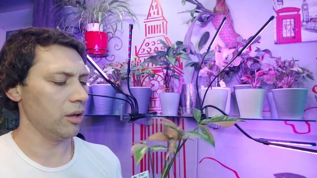 Цветочный Рум Тур част1 смотреть онлайн