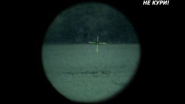 Охота на лося на рапсовых полях. Охота на лося . 2018 смотреть онлайн